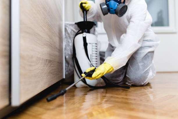 Best Rat Extermination Near Me  in Mineral Point, WI
