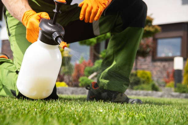Best Bird Control  in Mineral Point, WI