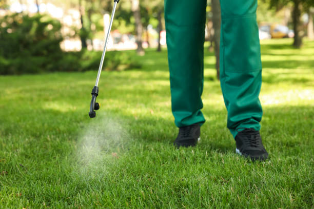 Best Rodent Control Near Me  in Mineral Point, WI