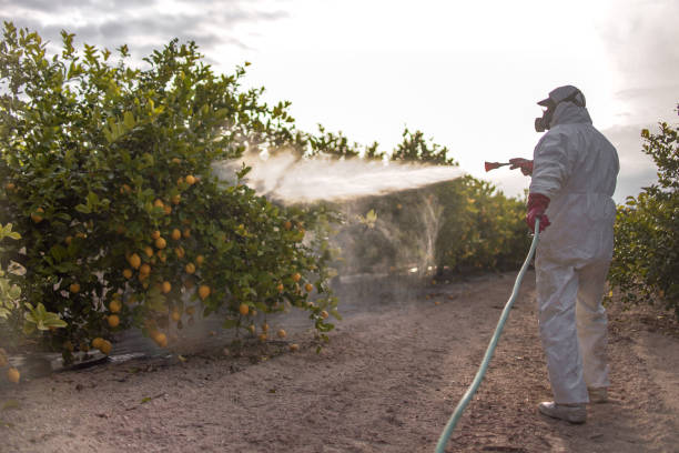 Best Insect Control  in Mineral Point, WI