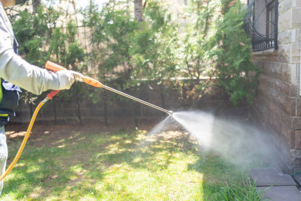 Wasp Removal Services in Mineral Point, WI