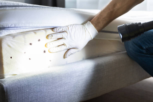 Best Pest Control Near Me in Mineral Point, WI