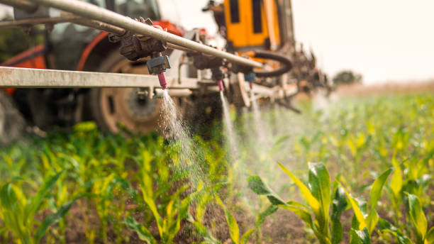 Best Best Pest Control Companies  in Mineral Point, WI