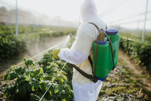 Best Flea Control Services  in Mineral Point, WI